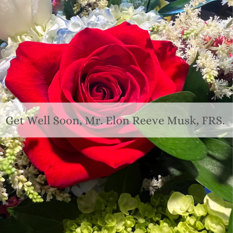 GET WELL SOON, MR ELON REEVE MUSK,&nbsp;FRS.