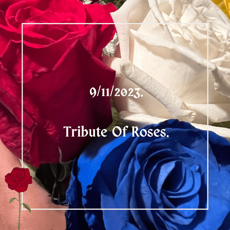 9/11/2023 : TRIBUTE OF&nbsp;ROSES.
