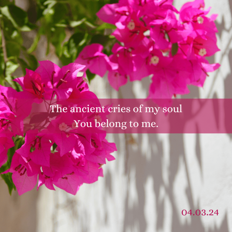 MY AMERICAS! ¡MIS&nbsp;AMÉRICAS!