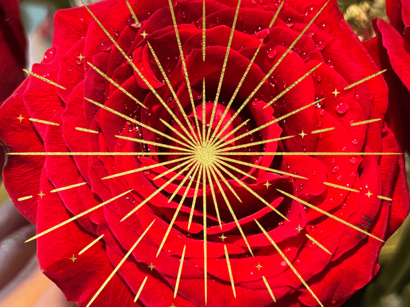 10th NATIONAL EUCHARISTIC CONGRESS&nbsp;2024.