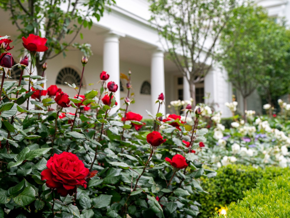 PRESIDENT BIDEN’S ANNOUNCEMENT