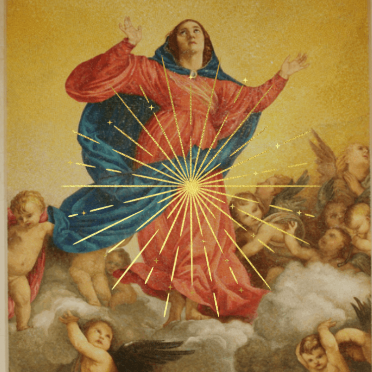 SOLEMNITY OF THE ASSUMPTION OF THE BLESSED VIRGIN MARY&nbsp;2024.