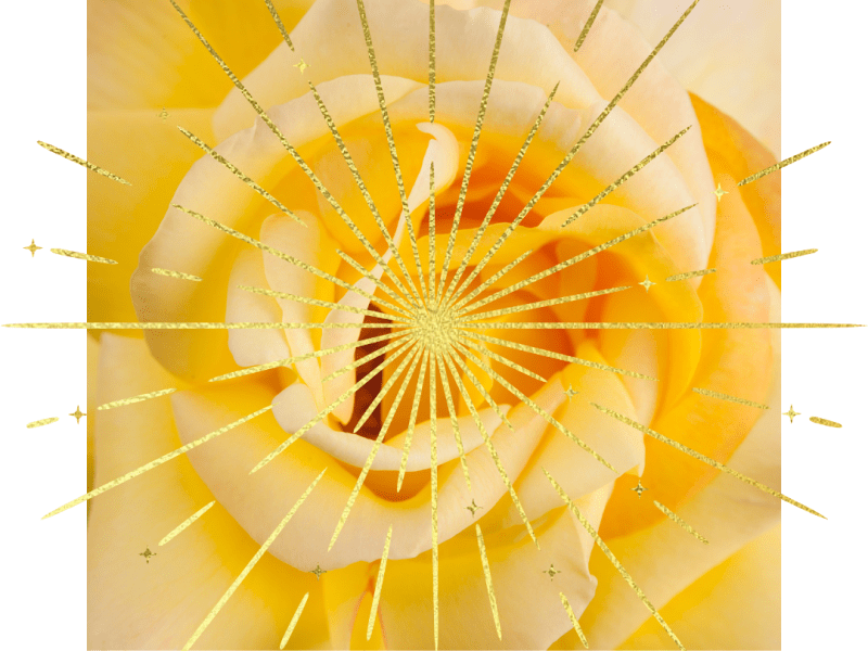 REFLECTIONS – 08.16.24.