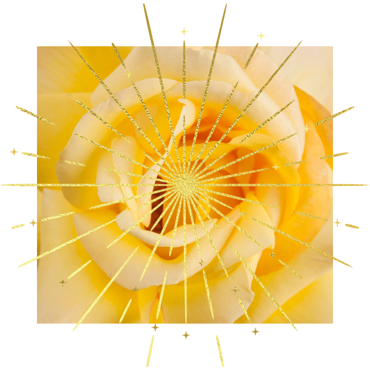 REFLECTIONS – 08.16.24.